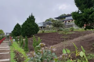 Greenleaf Rurukan, Exotic and Beautiful Nature Tourism in Tomohon