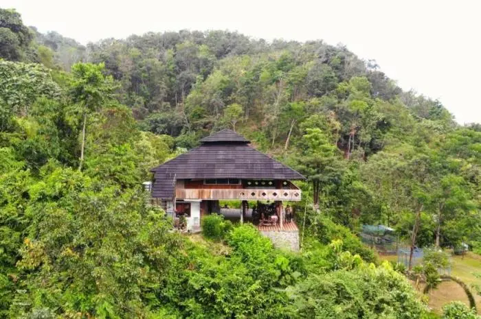 Lawang Hill, Exploration of Nature and Habitat of Sumatran Orangutans in Langkat