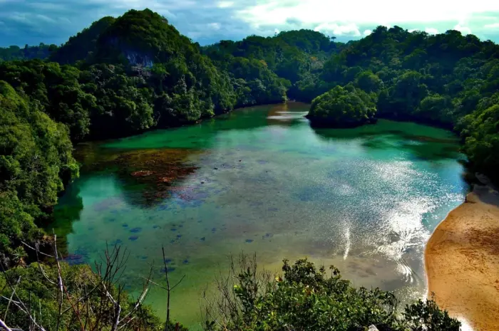 Sempu Island, a Nature Reserve Offering the Beauty of a Lagoon in Malang